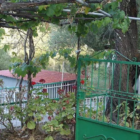 Kokoni @ Kefalonia ליקסורי