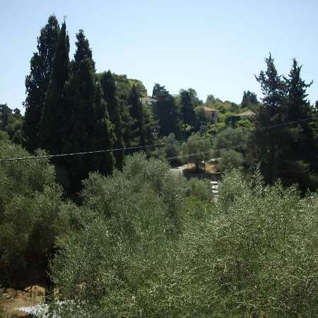 Kokoni @ Kefalonia